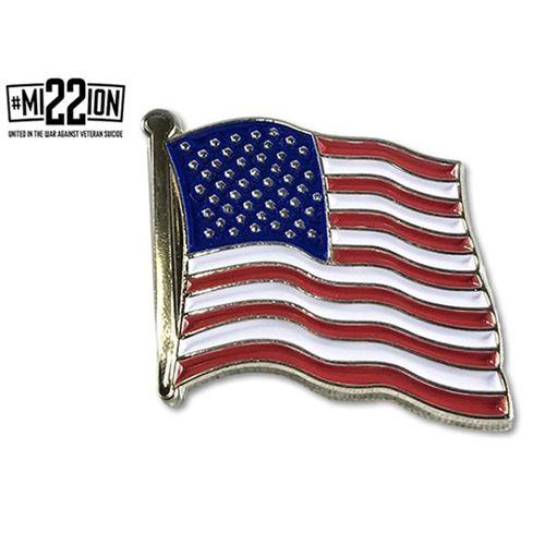 Thin Blue Line American Flag Pin